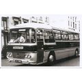 Black & White Photograph of Charlie's Cars (Bou...