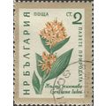 BULGARIA, FLOWER, Gentiana lutea, grey 1960, 2C...