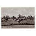 The Anchor Roe Green Sandon Postcard Hertfordshire