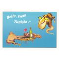 Hello From Tunisia Camel Drunk On Wine Postcard