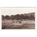 The Valley Gardens Harrogate Postcard North Yor...