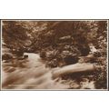 Watersmeet, Lynmouth, Devon, 1936 - Valentine's...