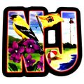 New Jersey the Garden State Artwood Initial Fri...