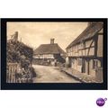 Sussex BYWORTH Village Postcard by Frith (54367)