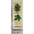 1938 Typhoo Trees of the Countryside 15 Field M...