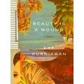 Beauty Is a Wound