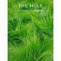 The Hole