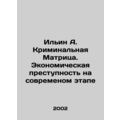 Ilyin A. The Criminal Matrix. Economic Crime at the Modern Stage In Russian /Il