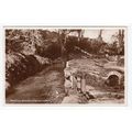 Bradley Woods Newton Abbot Postcard 1951 RP Devon