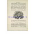 Stonehenge, Wilts, England, Book Illustration (...