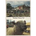 Masham Market Sheep Fair Postcard