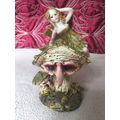 Mythical and Magical Fairy on a Witch Face Toad...