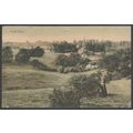 Castle Cary, Somerset, 1905 - Roberts Postcard
