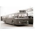 Black & White Photograph of Trent Motor Tractio...