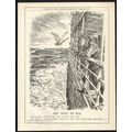 DOVE AT SEA 1919 John Bernard Partridge PUNCH C...