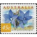 AUSTRALIA, FLOWER, Wahlenbergia stricta s/a, ye...