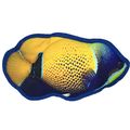 10" Tropical Damselfish