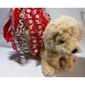 Golden Doodle, Cockapoo, Labradoodle, Shih Tzu ...