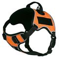 Multipurpose Dog Harness, Orange M 25"-31"