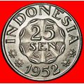 ⰆNETHERLANDS 1951-1952:INDONESIA★25 SENS 1952 S...