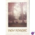 GB Postcard - New Forest - Hampshire, by Richar...
