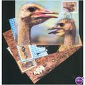 SWA SHS FDI PC's 1985 - The Ostrich