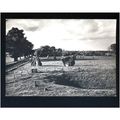 Wiltshire AVEBURY South Entrance Postcard by Mi...