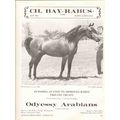 odyessy arabians 1972 ch bay-rabus george metro...