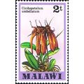 Malawi 1979 2t Cirrhopetalum Umbellatum Orchid ...