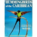 Hummingbirds of the Caribbean by Esther Quesada Tyrrell
