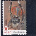 Australia 2023 - Peacock Spiders, Maratus eleph...