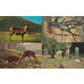 Red Wild Scottish Deer Jackrabbit 4x Postcard s