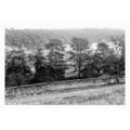 pt5392 - Newmillerdam , Yorkshire - Print 6x4