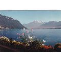 Montreux Chillon Switzerland Postcard posted 19...