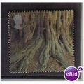 2000 GB TREE ROOTS F/U SG2156
