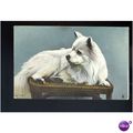 OUR DOGS" My Pet Tuck Glosso Postcard (8174)