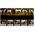 1991 - Dog Paintings by George Stubbs - Present...