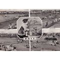 Sussex Cat Hove & Budgie Bird Real Photo Old Po...