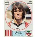 Panini Football 82 Dave Watson Southampton #217