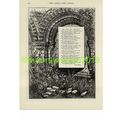 Ruin & the Rose Illustrated Poetry Anne Beale, ...