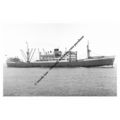 mc0564 - Strick Line Cargo Ship - Baltistan , b...
