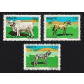 Brazil Tabarua Horse Mastiff Dog Domestic Anima...