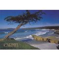 Carmel Beach California United States Postcard ...