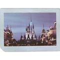 FL Orlando Amusement Park Postcard Walt Disney ...