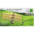 Great Britain. FDC 2010 Sir George Cayley. 1st ...