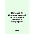 Field P. History of Russian Literature in Essay...