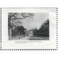 (123) Victoria Road Darlington / Mr Martino Ice...