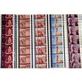 SOLDIER BLUE. Pk MULTI QVF - a007G. - 5 STRIPS ...