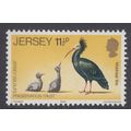 1979 Northern Bald Ibis (Geronticus eremita) 11½P