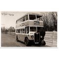 Black & White Photograph of Southend Corporatio...